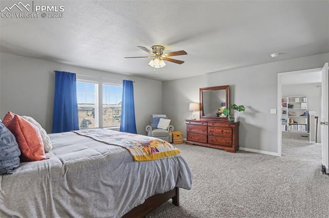 MLS Image for 6251  Stonefly  ,Colorado Springs, Colorado