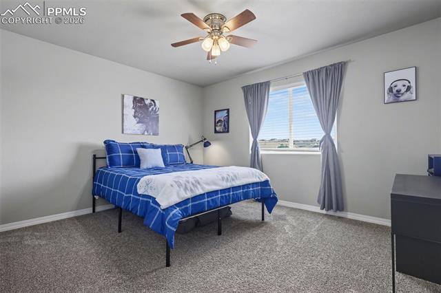 MLS Image for 6251  Stonefly  ,Colorado Springs, Colorado