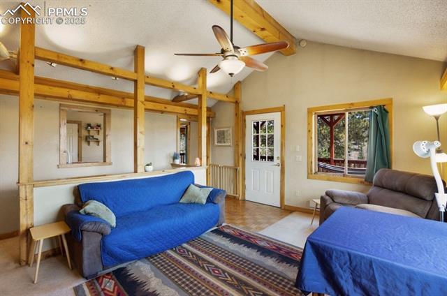 MLS Image for 79  Beaver Creek  ,Florissant, Colorado