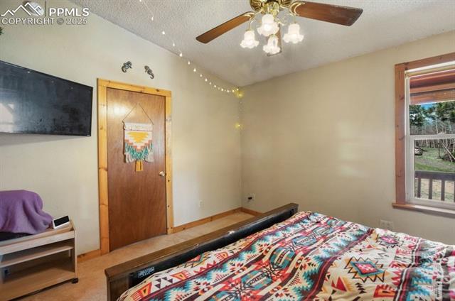 MLS Image for 79  Beaver Creek  ,Florissant, Colorado