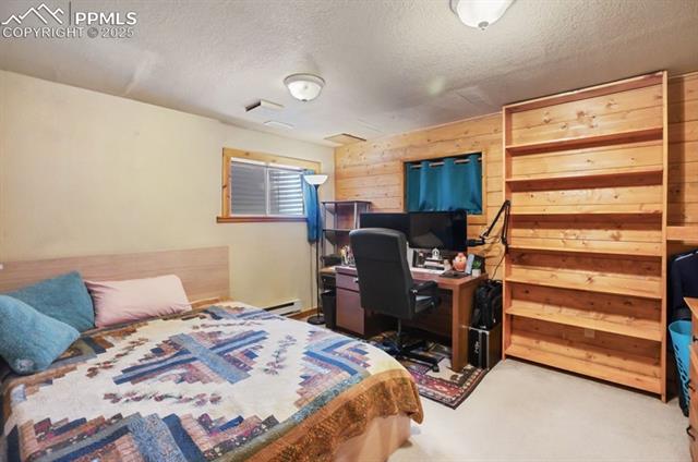 MLS Image for 79  Beaver Creek  ,Florissant, Colorado