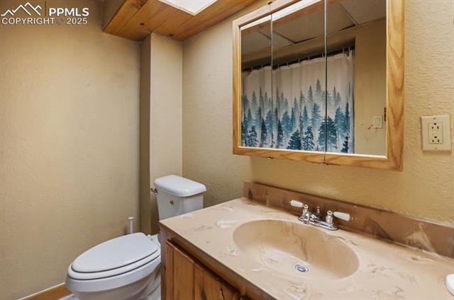 MLS Image for 79  Beaver Creek  ,Florissant, Colorado