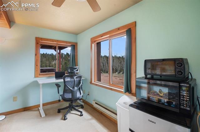 MLS Image for 79  Beaver Creek  ,Florissant, Colorado