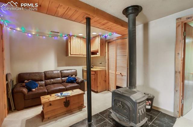 MLS Image for 79  Beaver Creek  ,Florissant, Colorado