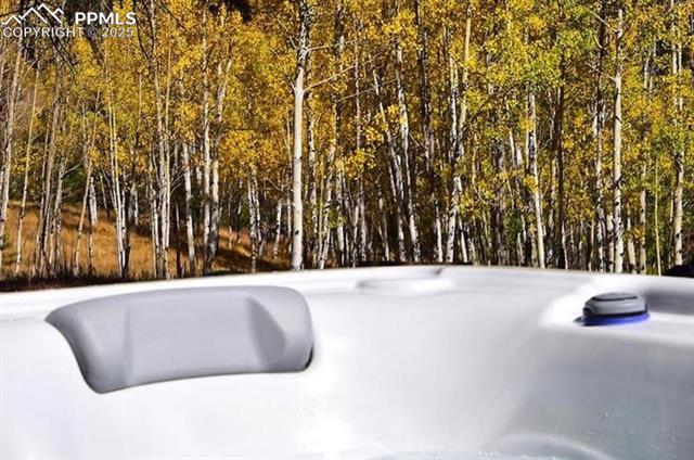 MLS Image for 79  Beaver Creek  ,Florissant, Colorado