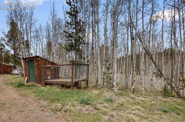 MLS Image for 79  Beaver Creek  ,Florissant, Colorado