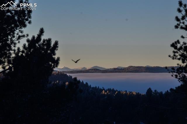 MLS Image for 79  Beaver Creek  ,Florissant, Colorado
