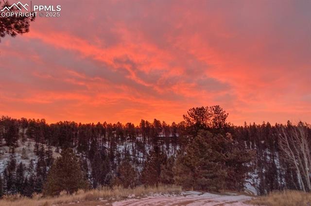 MLS Image for 79  Beaver Creek  ,Florissant, Colorado