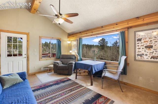 MLS Image for 79  Beaver Creek  ,Florissant, Colorado
