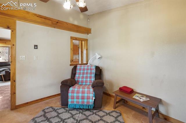 MLS Image for 79  Beaver Creek  ,Florissant, Colorado