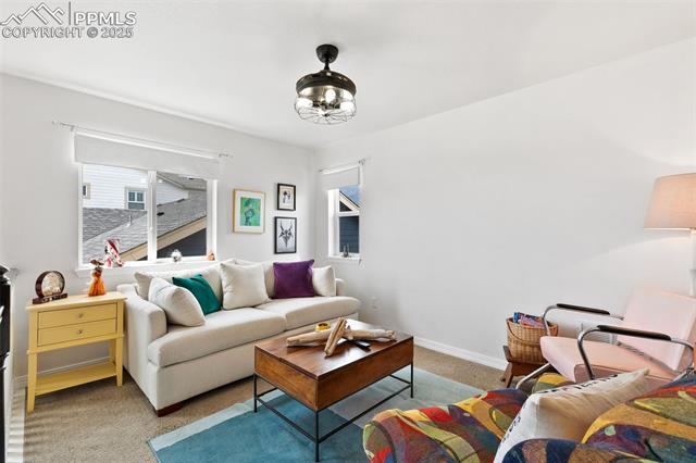 MLS Image for 1383  Portland Gold  ,Colorado Springs, Colorado