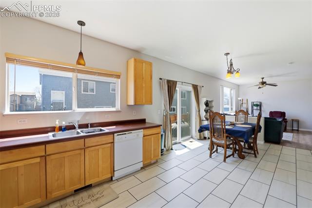MLS Image for 4691  Canyon Wren  ,Colorado Springs, Colorado