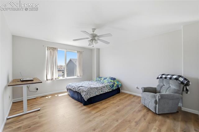 MLS Image for 4691  Canyon Wren  ,Colorado Springs, Colorado