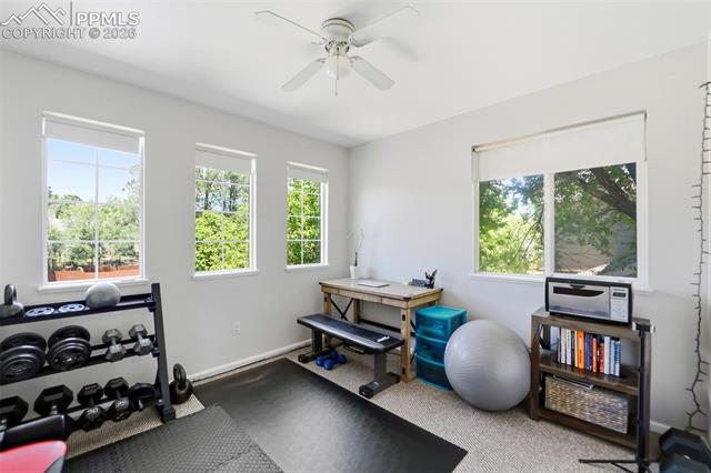 MLS Image for 4691  Canyon Wren  ,Colorado Springs, Colorado