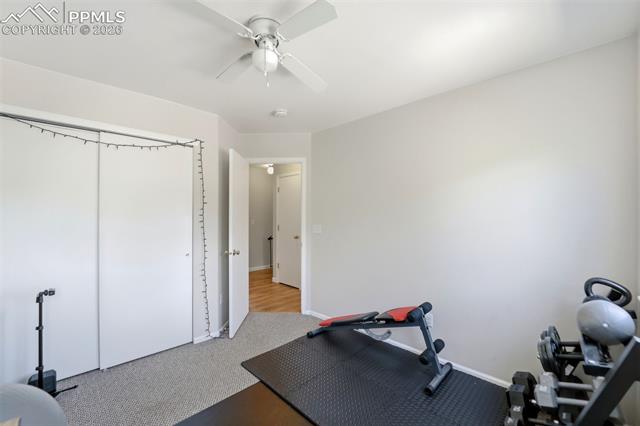 MLS Image for 4691  Canyon Wren  ,Colorado Springs, Colorado
