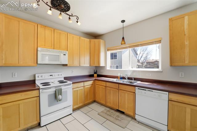 MLS Image for 4691  Canyon Wren  ,Colorado Springs, Colorado