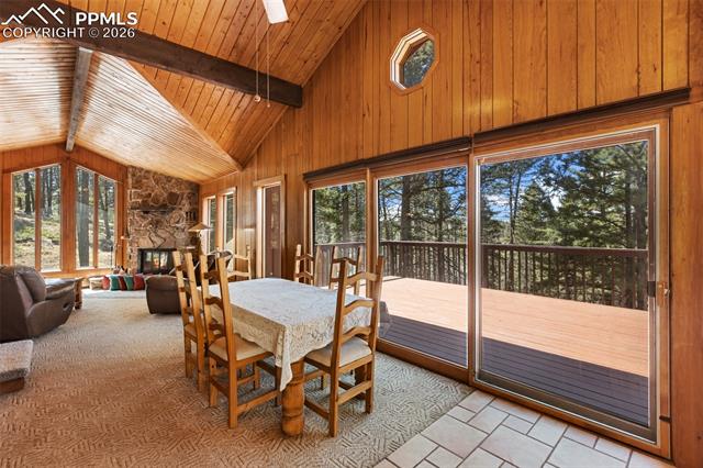 MLS Image for 351  Porphry  ,Divide, Colorado