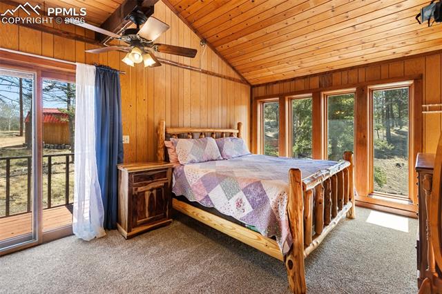MLS Image for 351  Porphry  ,Divide, Colorado