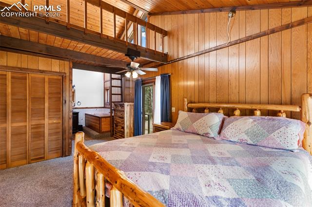 MLS Image for 351  Porphry  ,Divide, Colorado