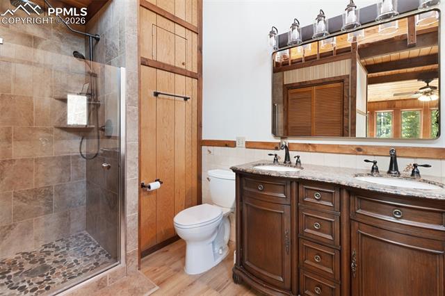 MLS Image for 351  Porphry  ,Divide, Colorado
