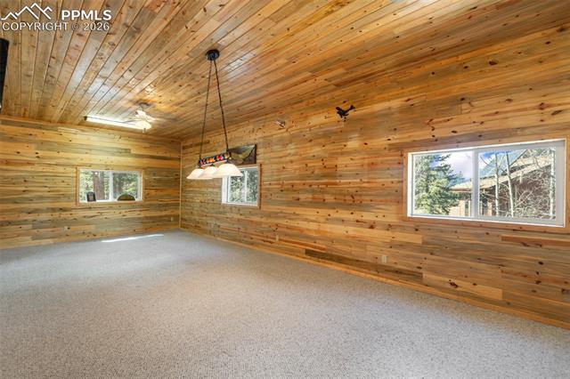 MLS Image for 351  Porphry  ,Divide, Colorado