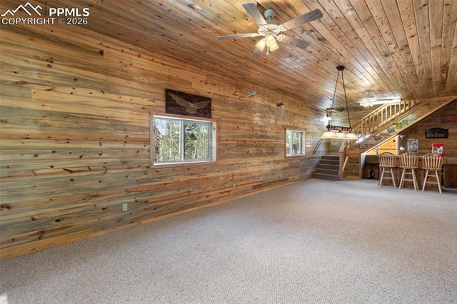 MLS Image for 351  Porphry  ,Divide, Colorado