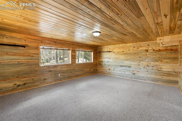 MLS Image for 351  Porphry  ,Divide, Colorado