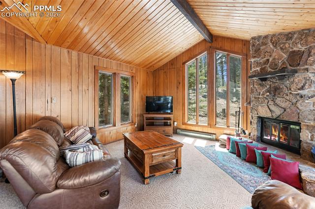 MLS Image for 351  Porphry  ,Divide, Colorado