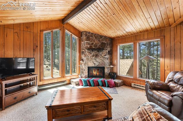 MLS Image for 351  Porphry  ,Divide, Colorado