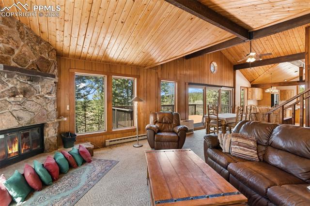 MLS Image for 351  Porphry  ,Divide, Colorado