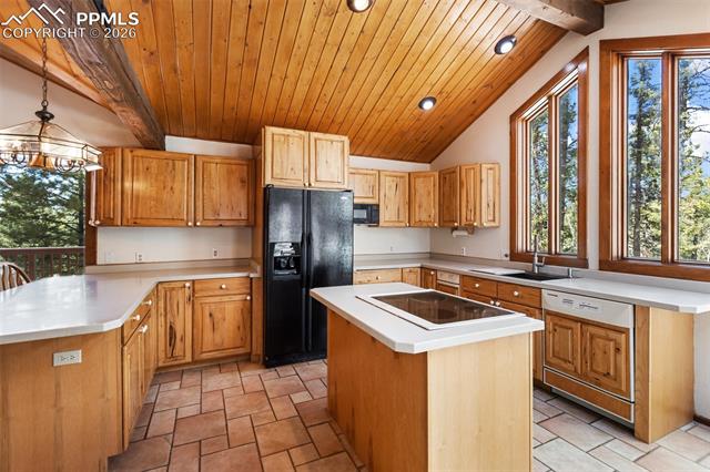 MLS Image for 351  Porphry  ,Divide, Colorado