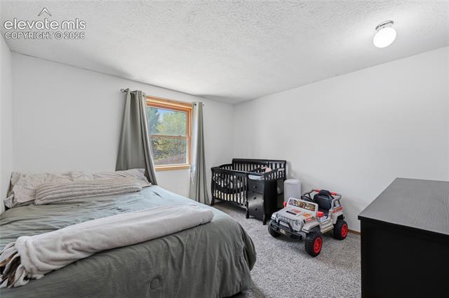 MLS Image for 2025  Piros  ,Colorado Springs, Colorado