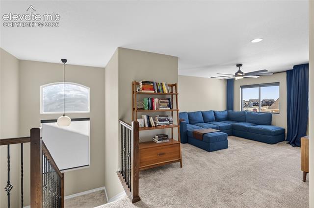 MLS Image for 8484  Talc  ,Colorado Springs, Colorado
