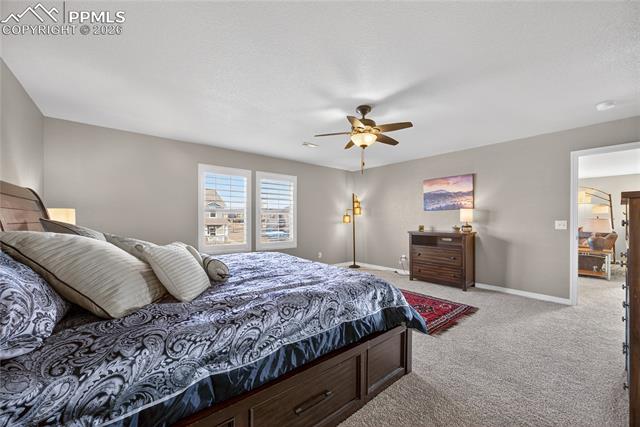 MLS Image for 13138  Diamond Edge  ,Colorado Springs, Colorado