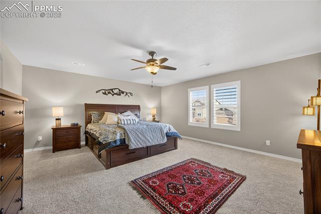 MLS Image for 13138  Diamond Edge  ,Colorado Springs, Colorado