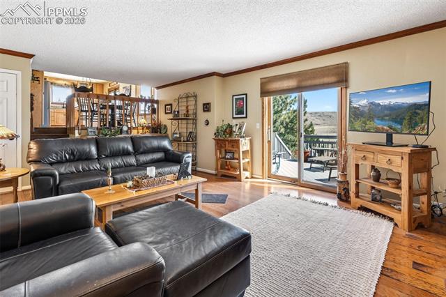 MLS Image for 12360  Mesa View  ,Larkspur, Colorado