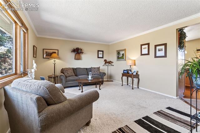 MLS Image for 12360  Mesa View  ,Larkspur, Colorado