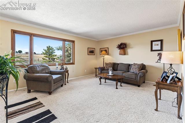 MLS Image for 12360  Mesa View  ,Larkspur, Colorado