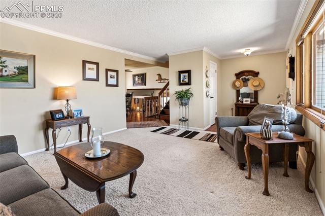 MLS Image for 12360  Mesa View  ,Larkspur, Colorado