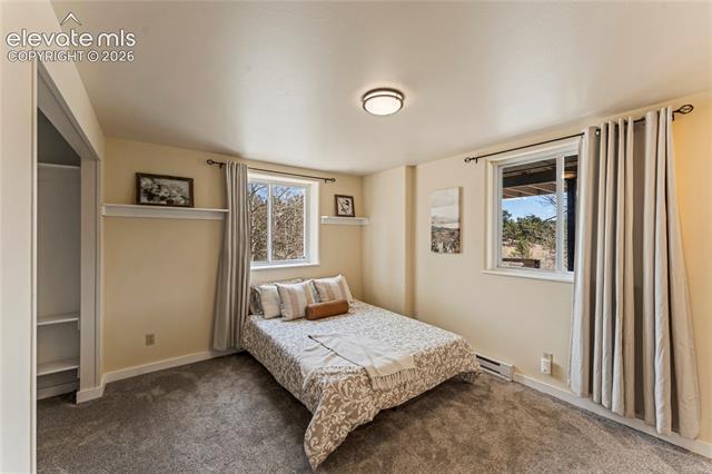 MLS Image for 3543  Blue Mesa  ,Divide, Colorado