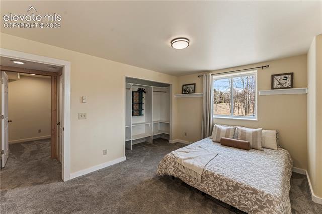MLS Image for 3543  Blue Mesa  ,Divide, Colorado