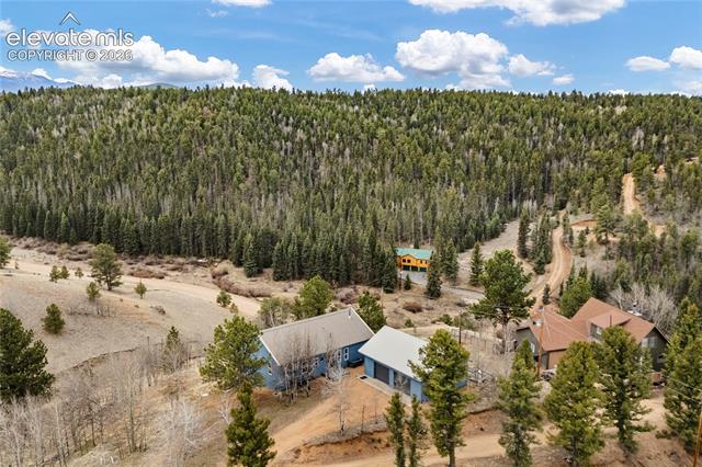MLS Image for 3543  Blue Mesa  ,Divide, Colorado
