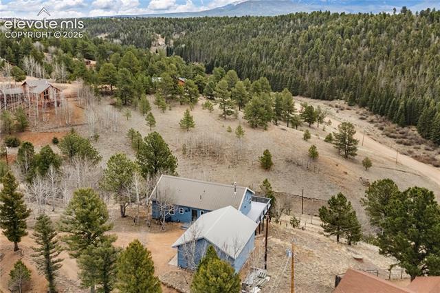 MLS Image for 3543  Blue Mesa  ,Divide, Colorado