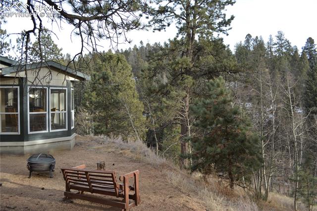 MLS Image for 661 W Bison Creek  ,Florissant, Colorado