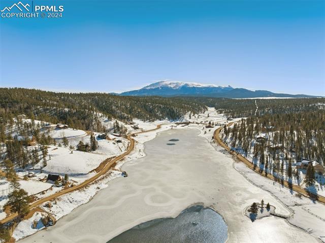 MLS Image for 4055  Omer  ,Divide, Colorado