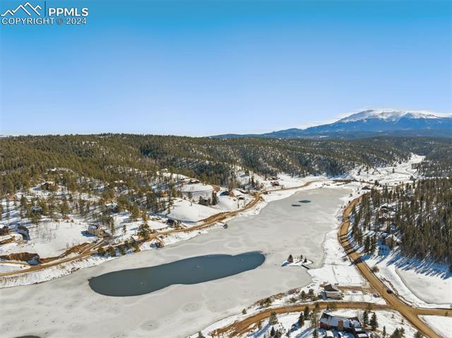 MLS Image for 4055  Omer  ,Divide, Colorado