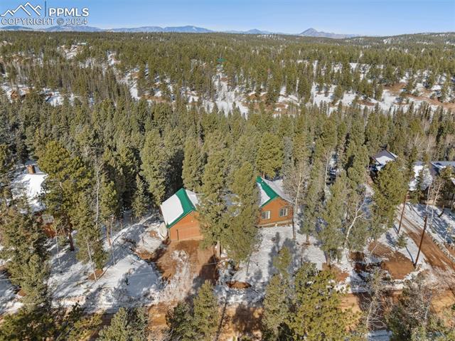 MLS Image for 4055  Omer  ,Divide, Colorado