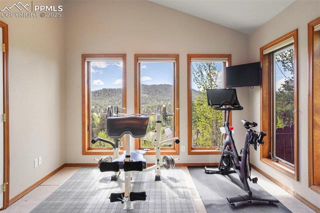 MLS Image for 215  Morning Sun  ,Woodland Park, Colorado