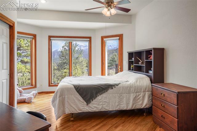 MLS Image for 215  Morning Sun  ,Woodland Park, Colorado