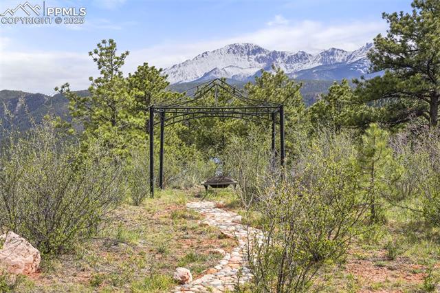 MLS Image for 215  Morning Sun  ,Woodland Park, Colorado